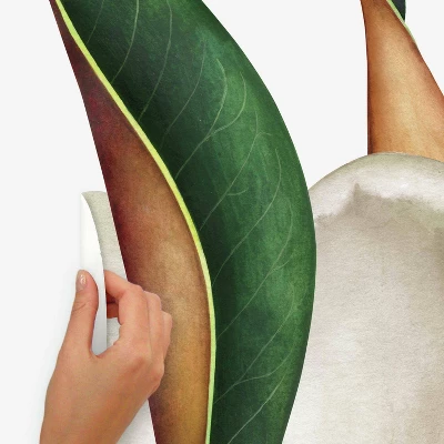 4.5" X 4.375" Vintage Magnolia Peel And Stick Giant Wall Decal - RoomMates - Image 4
